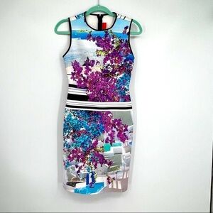 Clover Canyon Santorini Floral Striped Neoprene Mini Bodycon Roundneck Dress